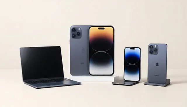 订单处理中品牌代理的成本控制要点与限制